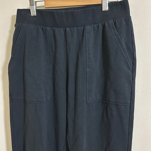 EUC Marine Layer Navy Joggers - Picture 2 of 4